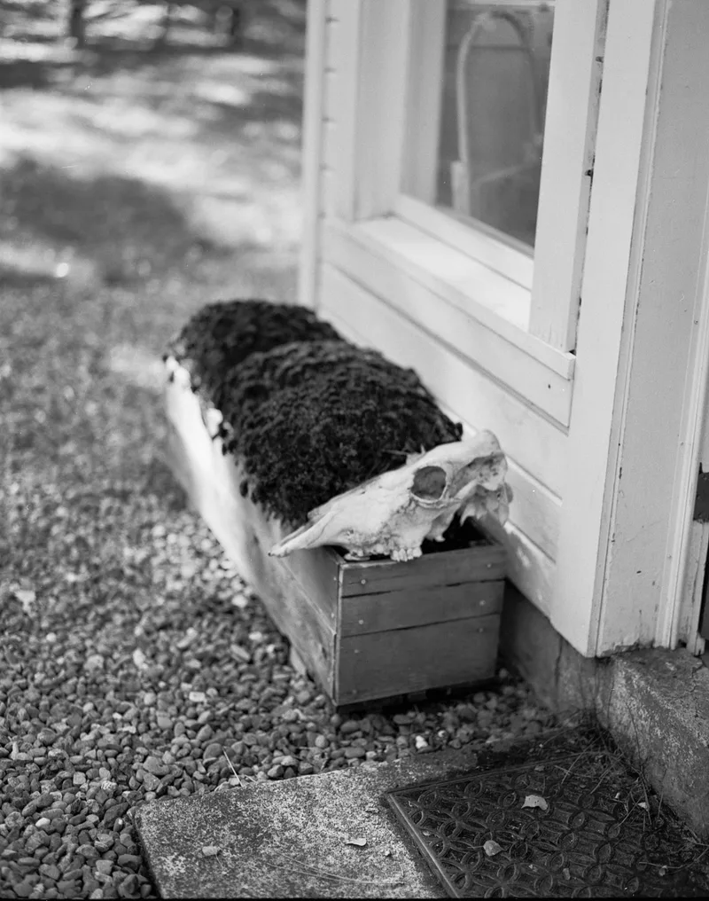 Welcome shot on Kodak TMax with a Pentax 6x7, by LordSenneian