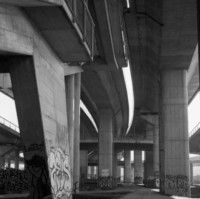 Film photo shot on Ilford HP5 Plus 400 with a Ricohflex New Dia, developed at Home / Self-Developed, by pavle