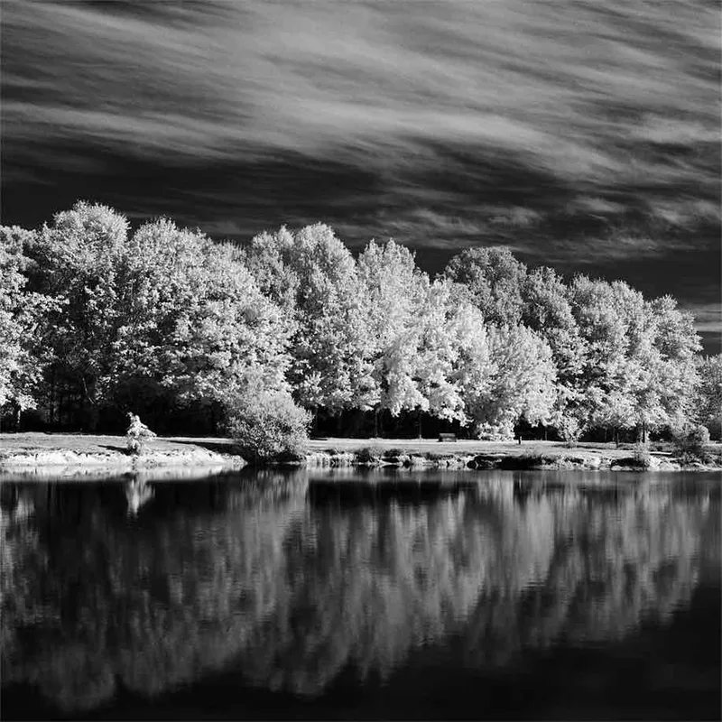 Infrarouge shot on Rollei Infrared 400 with a Hasselblad 500CM, developed at Home / Self-Developed, by Cyril b.