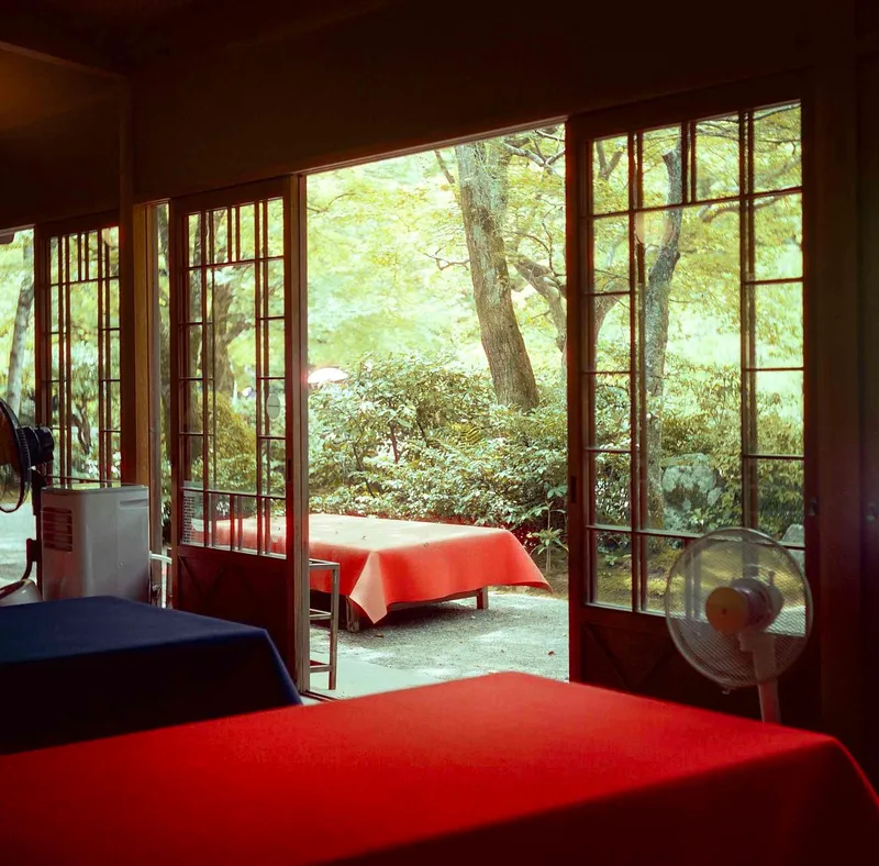 matcha in the mountains shot on Cinestill 400D with a Yashica D, developed at Dotwell Photo, by Prima Chan