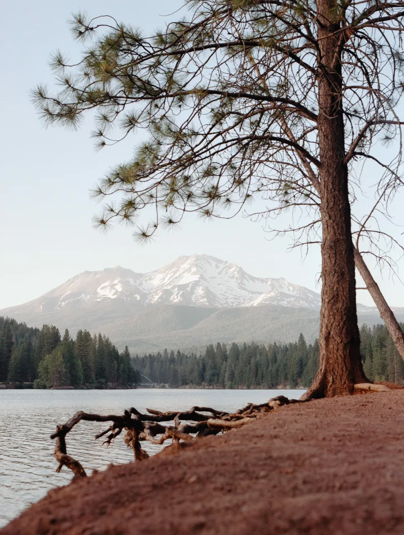 Summer on Shasta shot on Lomography CN 100 with a Pentax 645N2, developed at Oscar’s Photo Lab, by Aelitha