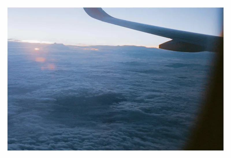 Classic wing shot. shot on Fujifilm Superia X-TRA 800 with a Canon P, developed at theFINDlab, by normal.rice