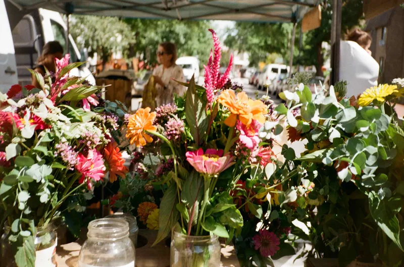 Farmers market shot on Fujifilm FujiColor C200 with a Canon Sure Shot Tele, developed at Dominion Camera, by Lucy Mueller