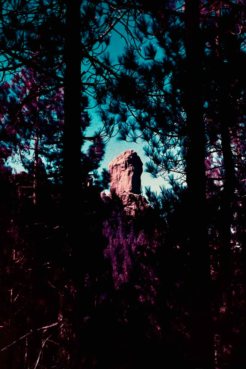 Somewhere at Roque Nublo shot on Lomography LomoChrome Purple 100 with a Rollei 35T, developed at SuperFoto, by Herkus