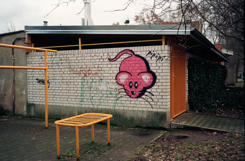 Street art shot on Kodak Gold 200 with a Ricoh AF-5, developed at Pod Dachem, by Nanette