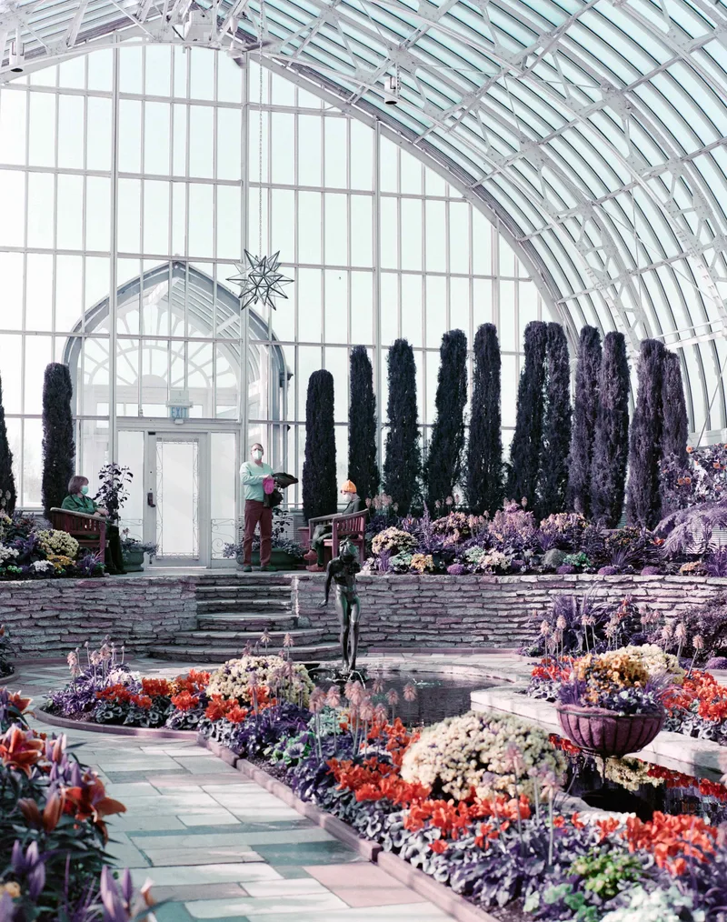 Greenhouse shot on Lomography LomoChrome Purple 100 with a Zenza Bronica GS-1, developed at Fast Foto Film Lab, by Nate