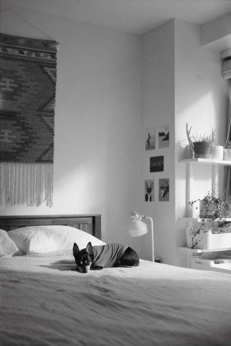 Oscarito in the house! shot on Ilford Kentmere Pan 400 with a Pentax MZ-5, developed at Home / Self-Developed, by J Isles