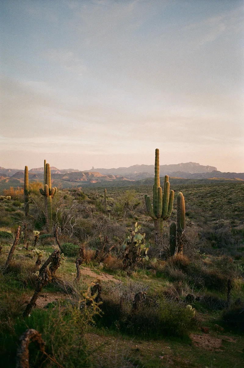 Four Peaks shot on Fujifilm FujiColor C200 with a Contax T3, developed at Graination, by thishumanlife
