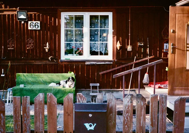 Chill dog shot on Kodak UltraMax 400 with a Pentax 17, by HillCore