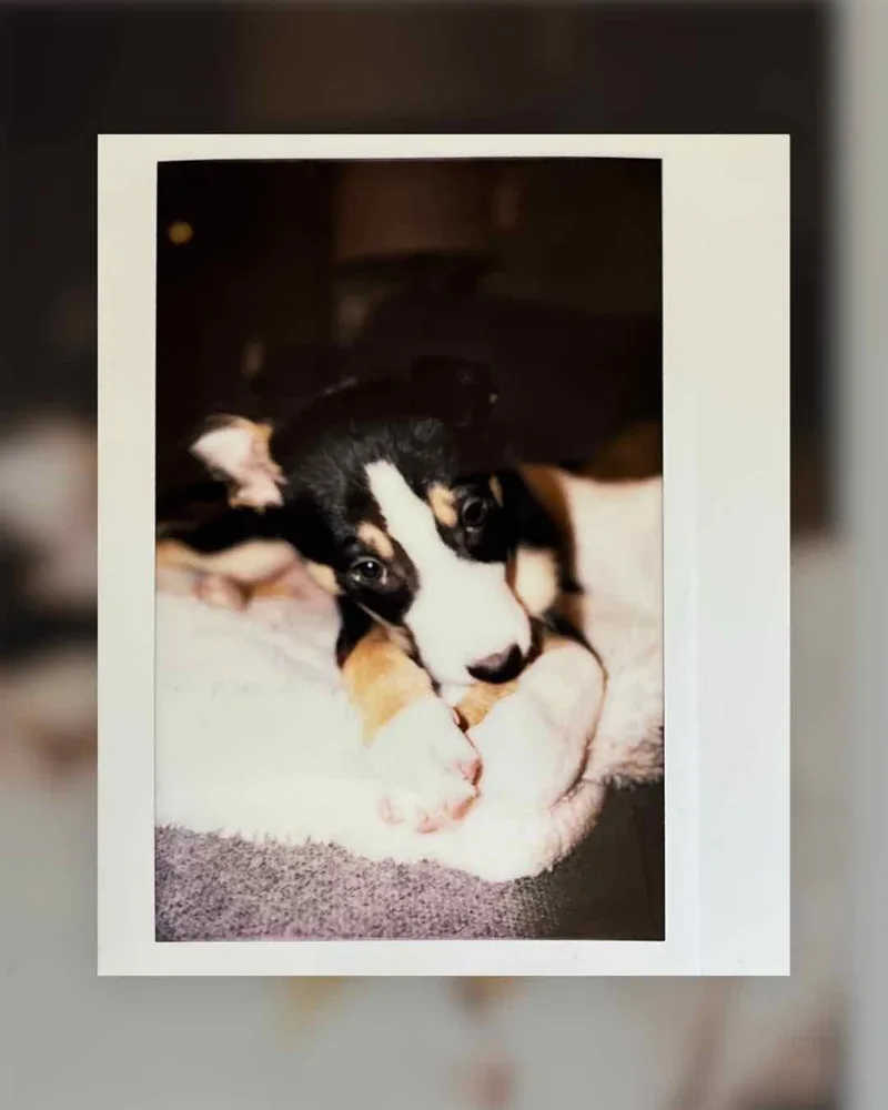 Film photo shot on Fujifilm Instax Wide with a Lomo’Instant Wide, by Jones