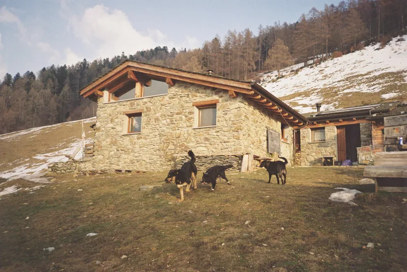 Film photo shot on Kodak Gold 200 with a Ricoh R1, by Cristina