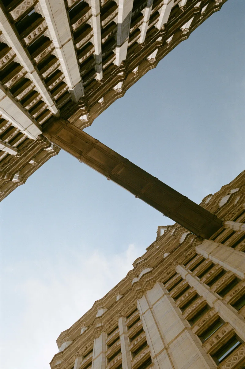 Look up shot on Kodak Portra 400 with a Leica IIIg, developed at FilmDev, by Rich