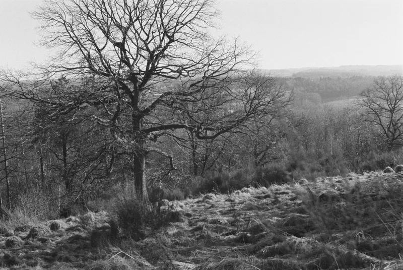 Ennepetal, Germany shot on Agfa APX 400 with a Ihagee Exa 1a, by Grainbound