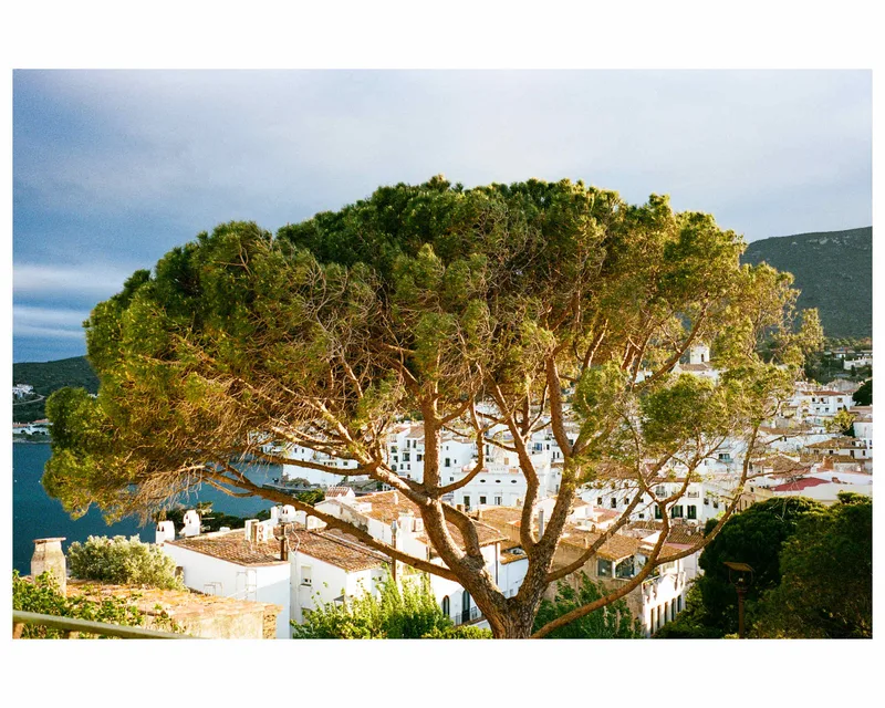Film photo shot on Kodak Portra 400 with a Leica M6 TTL, developed at Négatif+, by Oh Jim !