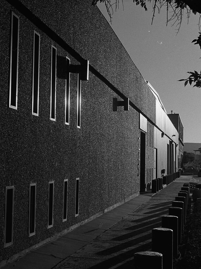 245 Pitkin shot on Kodak Tri-X 400 with a Mamiya 645, by Carson