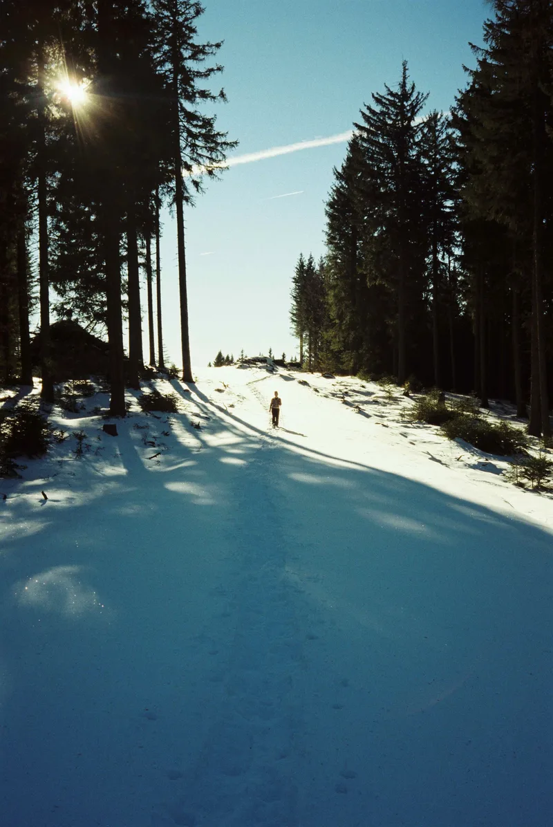 hike shot on Kodak Vision3 250D with a Olympus AF-1, developed at Deivids Film Lab, by laurenz