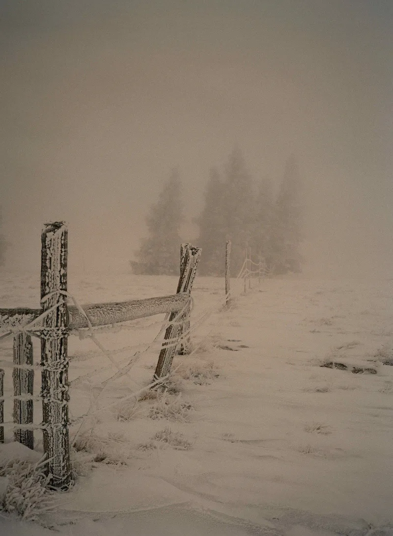 Frosty Fence Line shot on Kodak Gold 200 with a Fuji GS645S, by Lance Faulkner