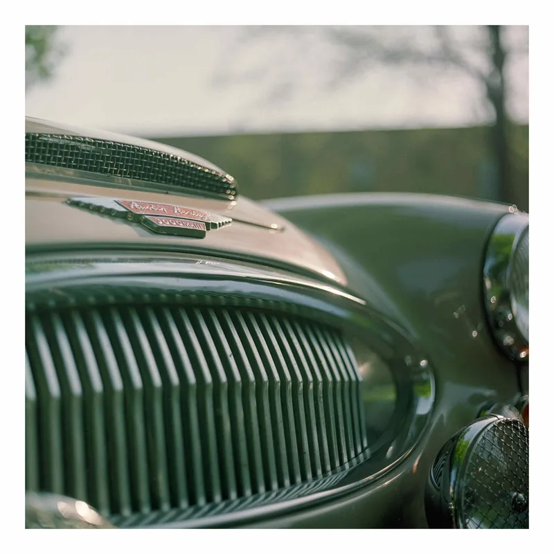 Green Grill shot on Kodak Portra 400 with a Kiev 88CM, developed at Home / Self-Developed, by Peter Segers