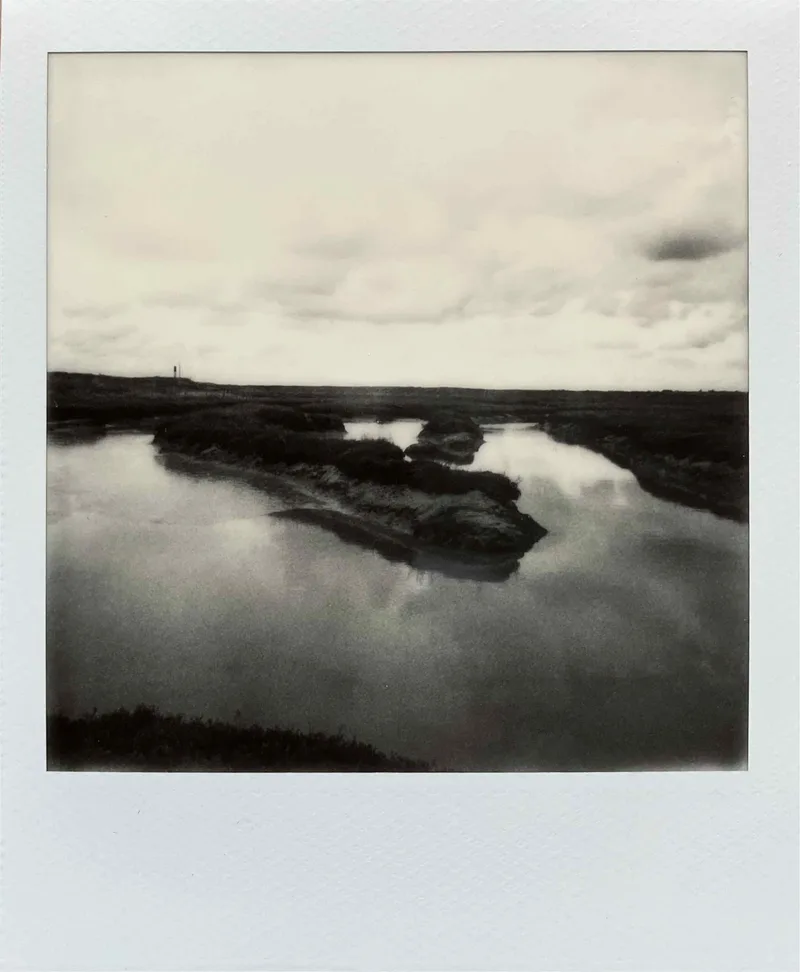 Saltmarsh shot on Polaroid B&W i-Type with a Polaroid I-2, developed at Instant Film, by MelvynJ