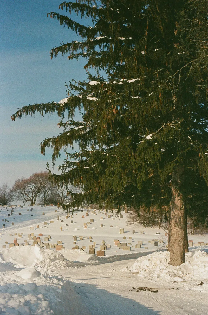 Film photo shot on Kodak UltraMax 400 with a Nikon F3, developed at Lumentation, by camael