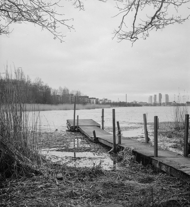 Film photo shot on Ilford HP5 Plus 400 with a Rolleiflex 3.5, developed at Home / Self-Developed, by tuukka