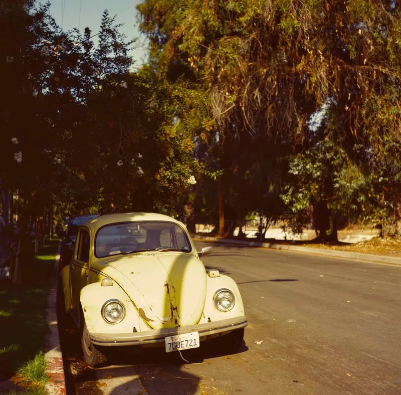 Film photo shot on Kodak Ektar 100 with a Rolleicord V, by Joe