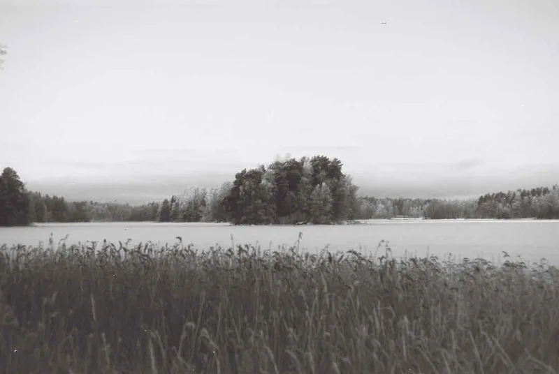 Cold day II shot on Lomography Babylon Kino 13 with a Nikon F100, by Jussi