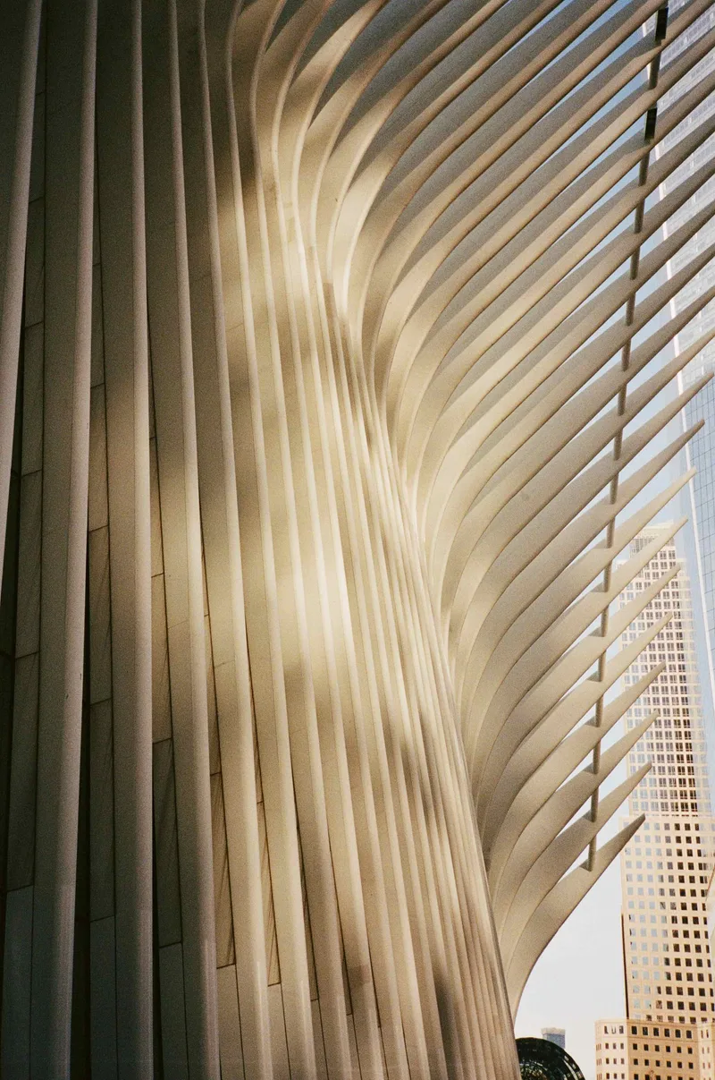 Film photo shot on Kodak Portra 400 with a Nikon L35AF, developed at Boutique Film Lab, by Oscar Q