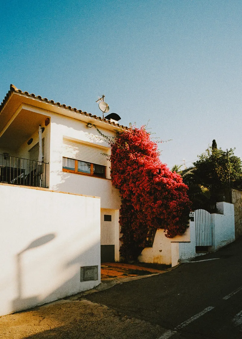 Film photo shot on Kodak ColorPlus 200 with a Leica M6, developed at Carmencita, by Jordi Sales