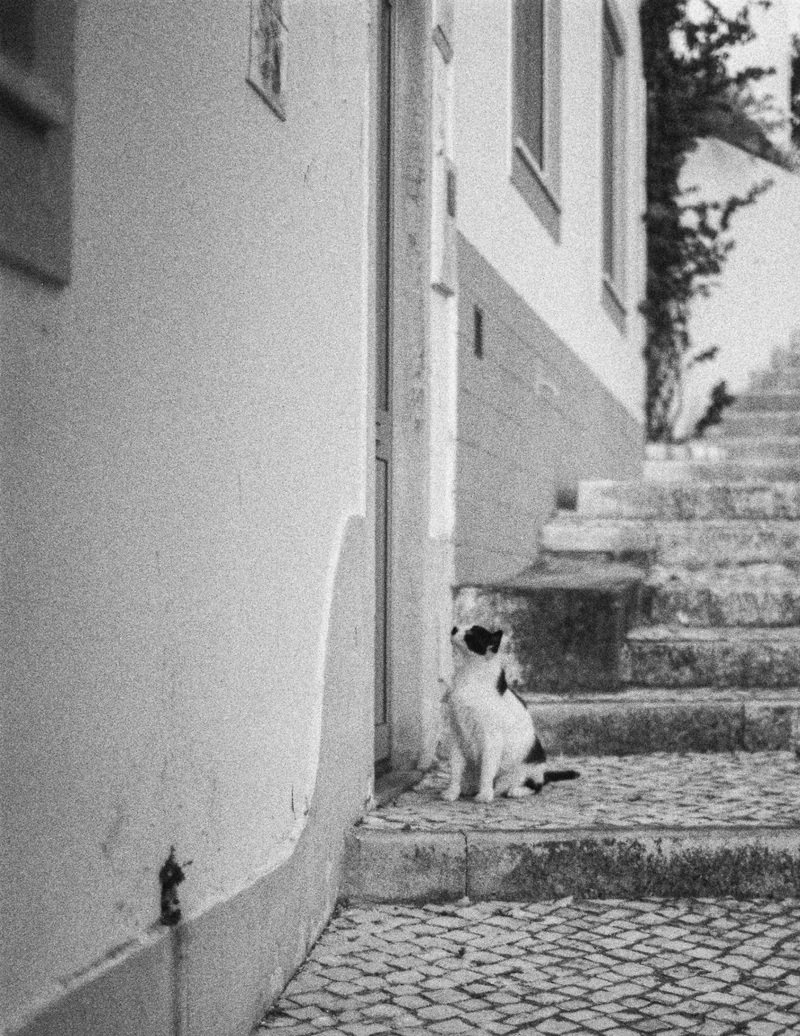 Can I come in? shot on Foma Fomapan 400 Action with a Nikon F601, developed at A&M Imaging, by Rodut2020