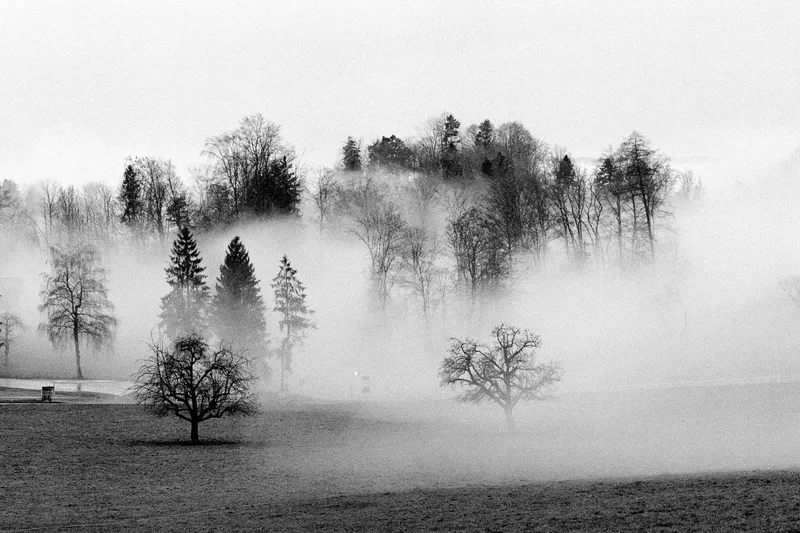 In the mist shot on Ilford HP5 Plus 400 with a Hasselblad 2000 FCW, developed at DevbyJannis, by Robster lobster