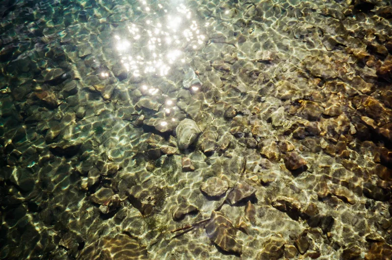 A glimmer below shot on Fujifilm Superia X-TRA 400 with a Minolta Freedom Zoom 70, by Katelin