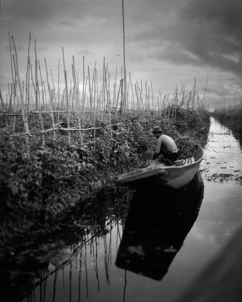 The Floating Gardens shot on Fujifilm Neopan Acros 100 II with a Pentax 6x7MLU, developed at Home / Self-Developed, by Kuortam