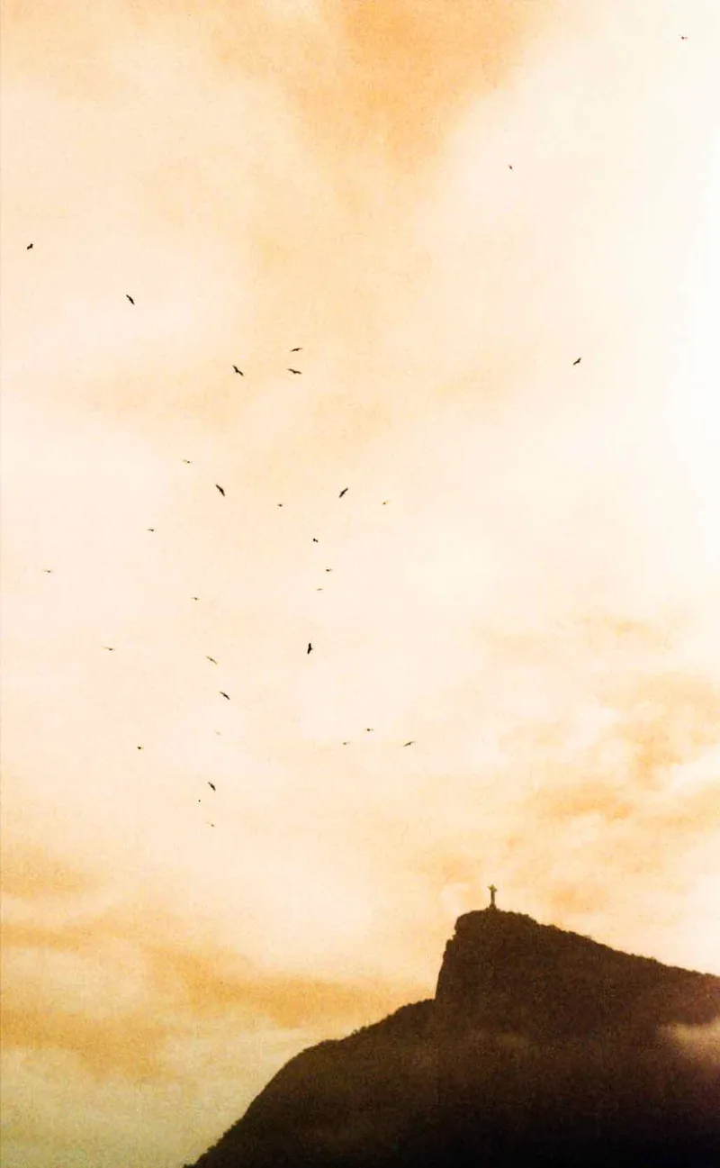 Film photo shot on Lomography LomoChrome Turquoise 100 with a Leica R8, developed at Fotocomputo, by Paula
