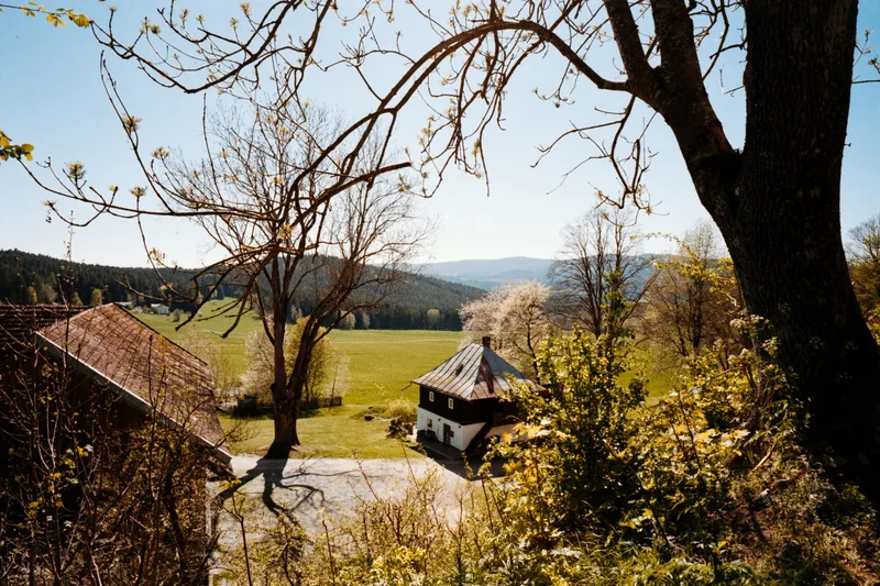 cabin shot on Kodak Gold 200 with a Contax G1, developed at Optik Oldschool, by Jagl