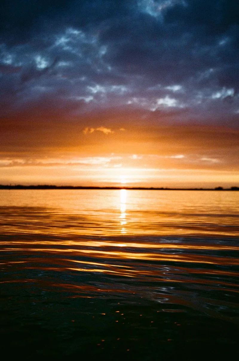 Film photo shot on Kodak UltraMax 400 with a Canon 3000N, developed at Conns Camera, by Annraoi Blaney