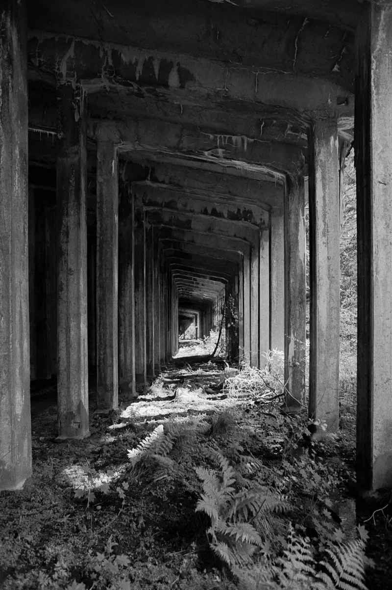 The Snowshed shot on Kodak T-Max P3200 with a Nikon F100, developed at Home / Self-Developed, by Dan Schneider