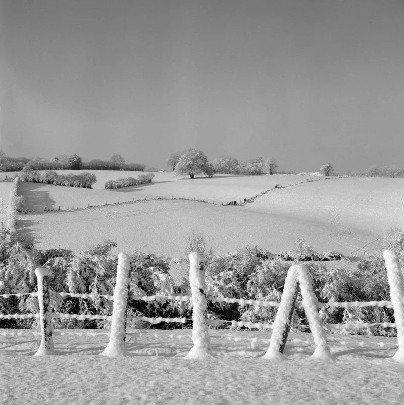 Neige #03 shot on Ilford Kentmere Pan 100 with a Rolleiflex, developed at Home / Self-Developed, by Philippe Boulanger