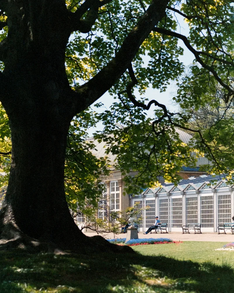 The Glass Pavilion shot on Fujifilm Reala 500D with a Nikon F90X, developed at Home / Self-Developed, by ant