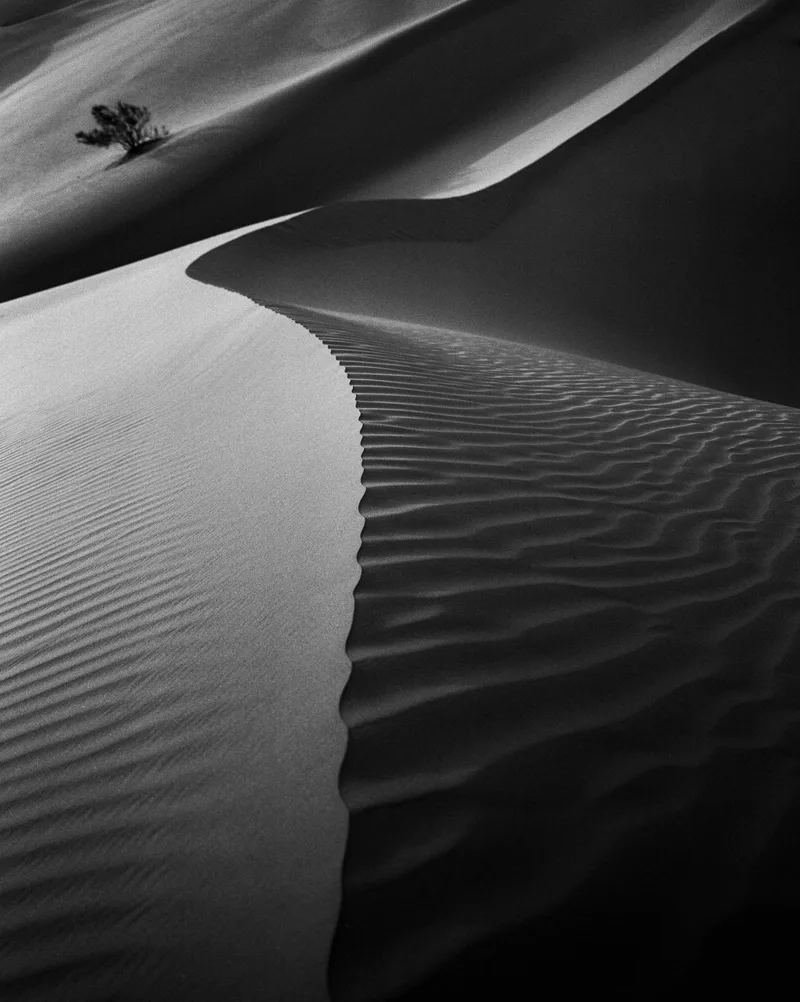 Deserts of Liwa shot on Ilford Delta 100 with a Mamiya 7II, developed at Lab Al Awal, by 13slvsl