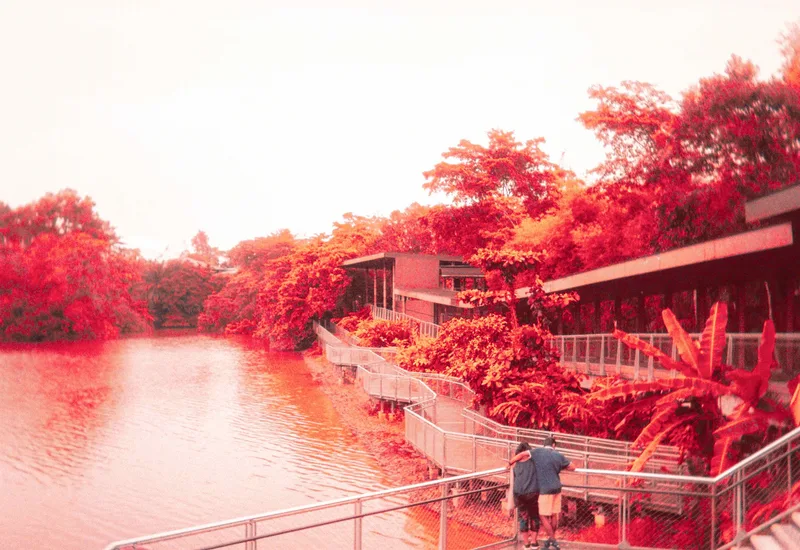 Singapore City, October 2023 shot on VibePhoto Max 400 with a Kodak Ektar H35, developed at F8 Photo, by Rafael Gandionco