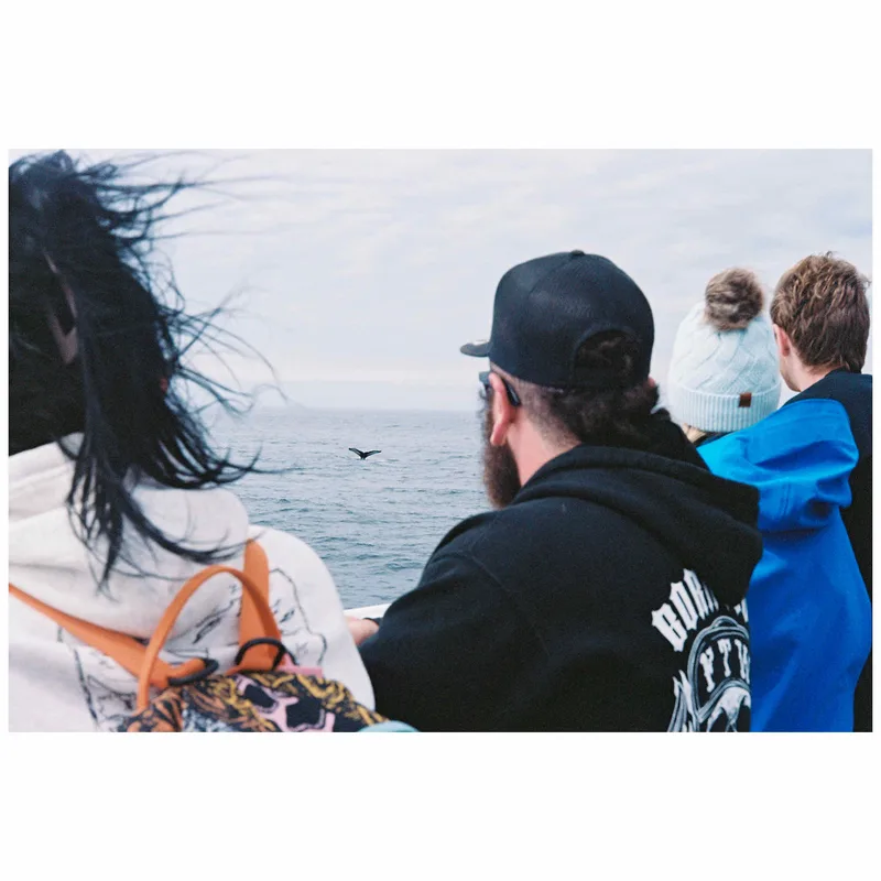 Whale watching shot on Kodak Portra 400 with a Canon VI-T, developed at Mike’s Camera, by Vincent