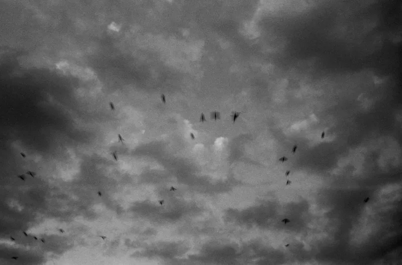 Film photo shot on Nation Photo Nation Photo 400 with a Ricoh 500GX, developed at Home / Self-Developed, by Ambroise
