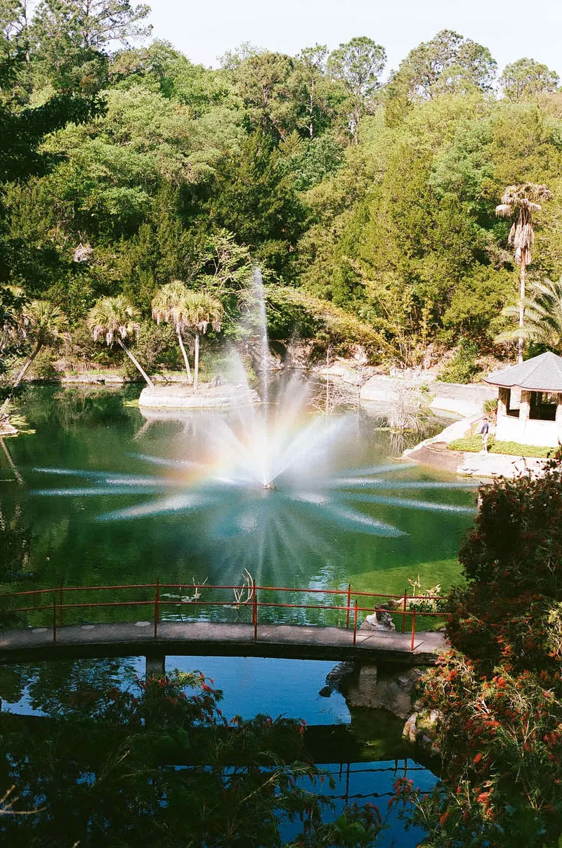 Cedar Lakes Fountain shot on Kodak Portra 400 with a Canon EOS Rebel 2000, developed at The DarkRoom, by Jeremy McGuire