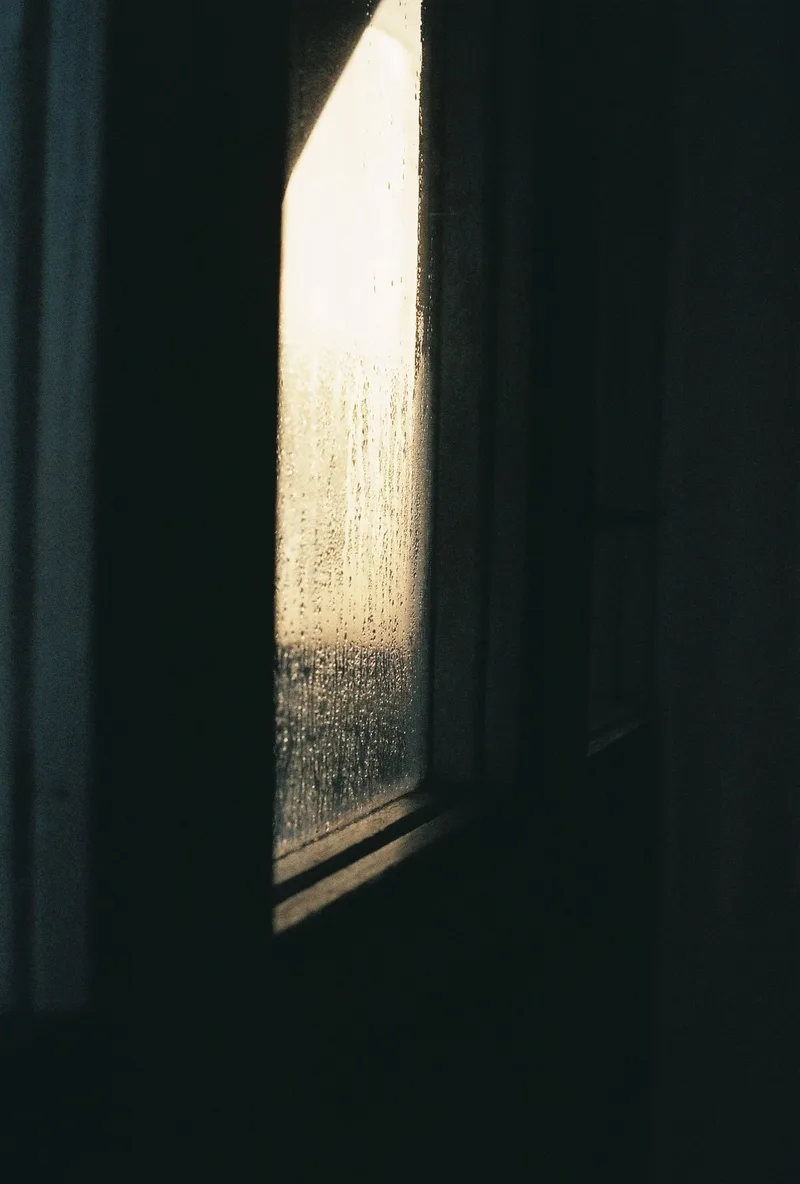 Film photo shot on Fujifilm FujiColor C200 with a Canon EOS 1000FN, by Oriana