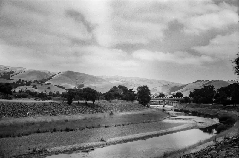 BART and White shot on Ilford Delta 400 with a AkArette II, developed at Underdog Film Lab, by Zefram Marks