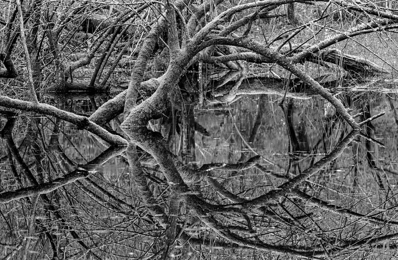 highlights shot on Foma Fomapan 100 Classic with a Nikon FM2, developed at Home / Self-Developed, by Luis Tosal