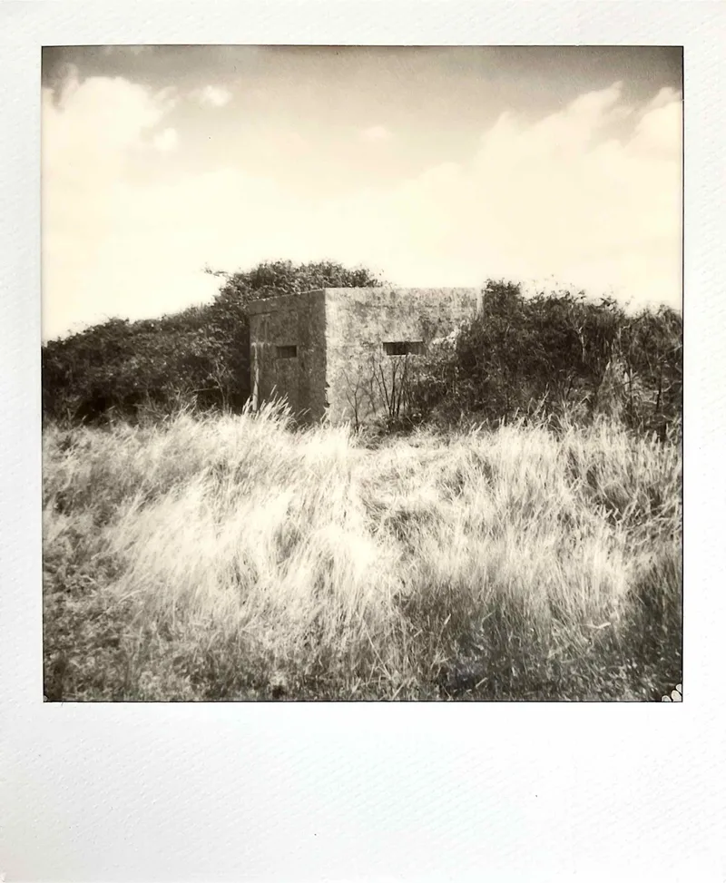 We’re watching you… shot on Polaroid B&W 600 with a Polaroid Impulse AF, developed at Instant Film, by MelvynJ