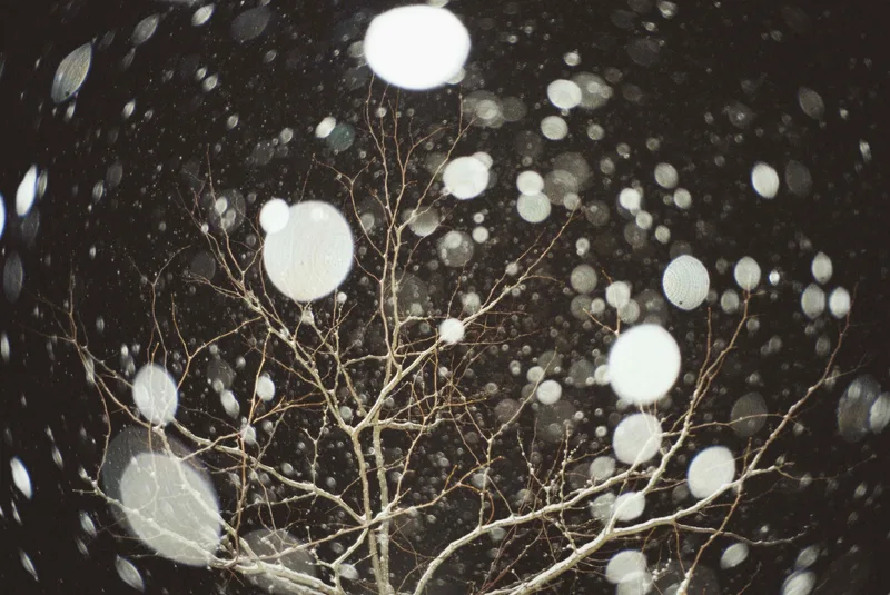snow shot on Kodak Vision3 250D with a Olympus AF-1, developed at Deivids Film Lab, by laurenz