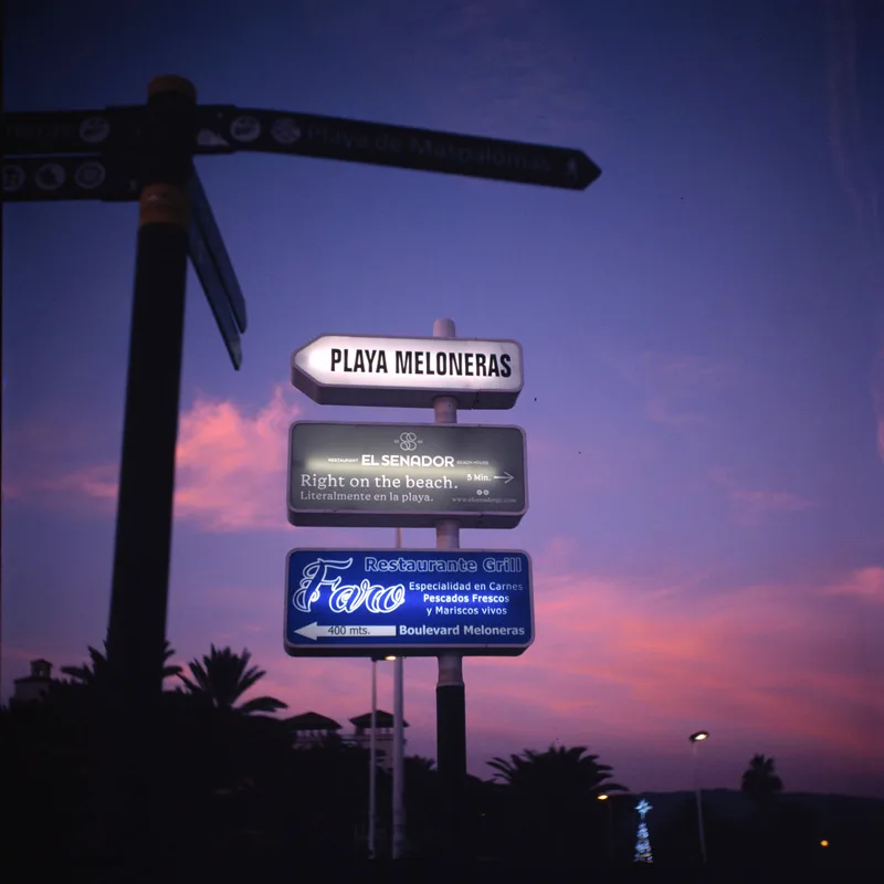 Film photo shot on Fujifilm Velvia 50 with a Ricoh RicohflexDiacordG, developed at SuperFoto, by Herkus